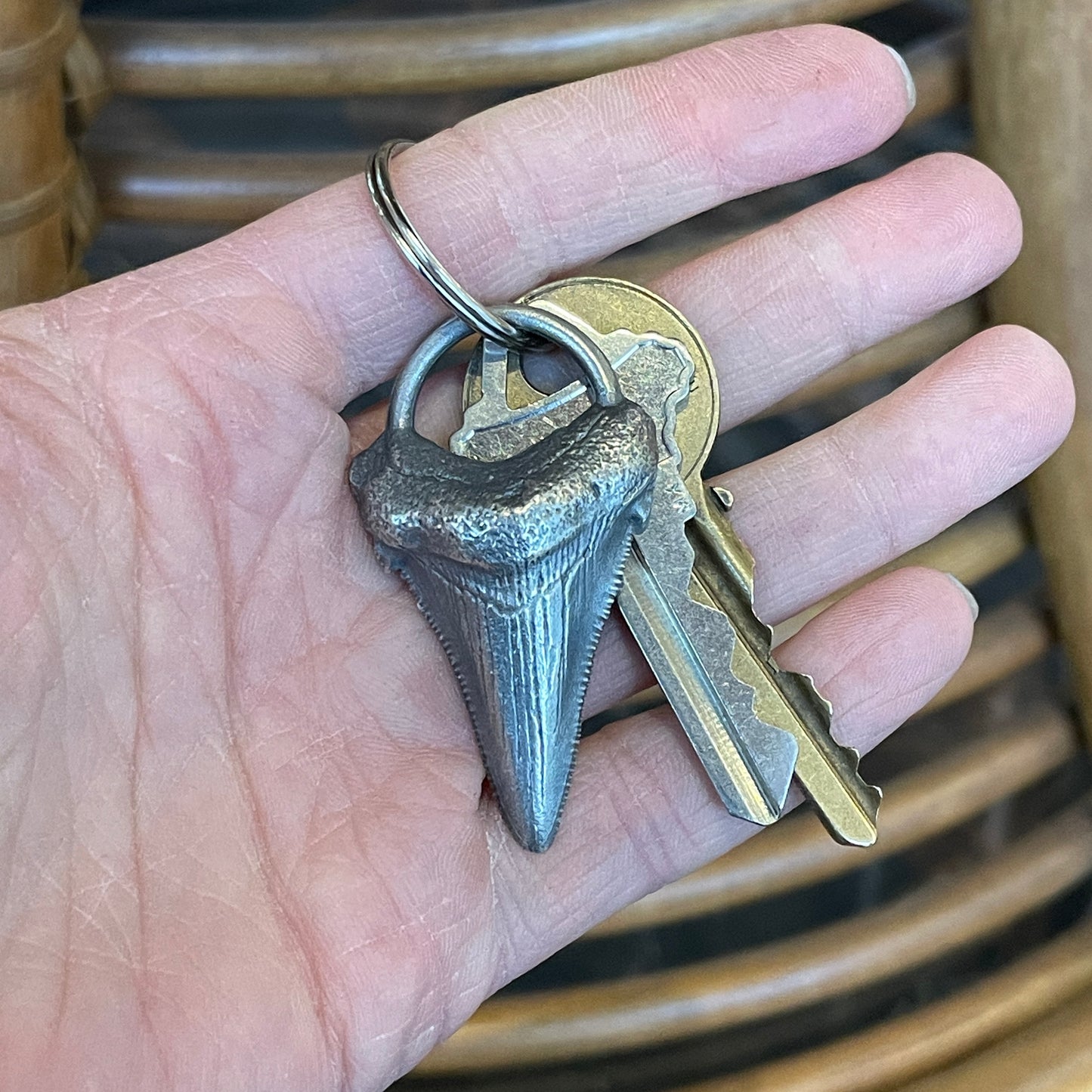 Megalodon Tooth Keychain