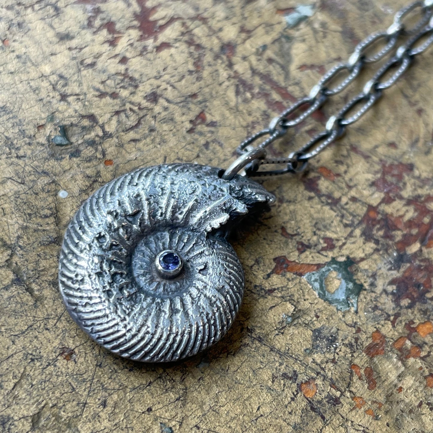 Sterling Ammonite with Iolite