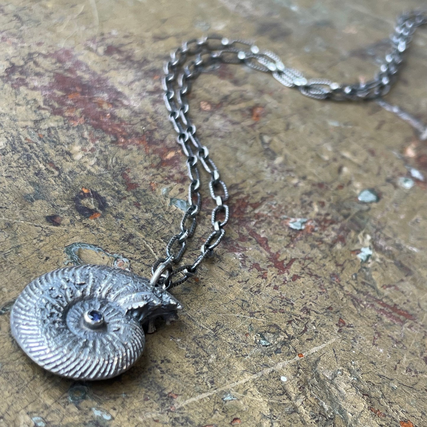 Sterling Ammonite with Iolite