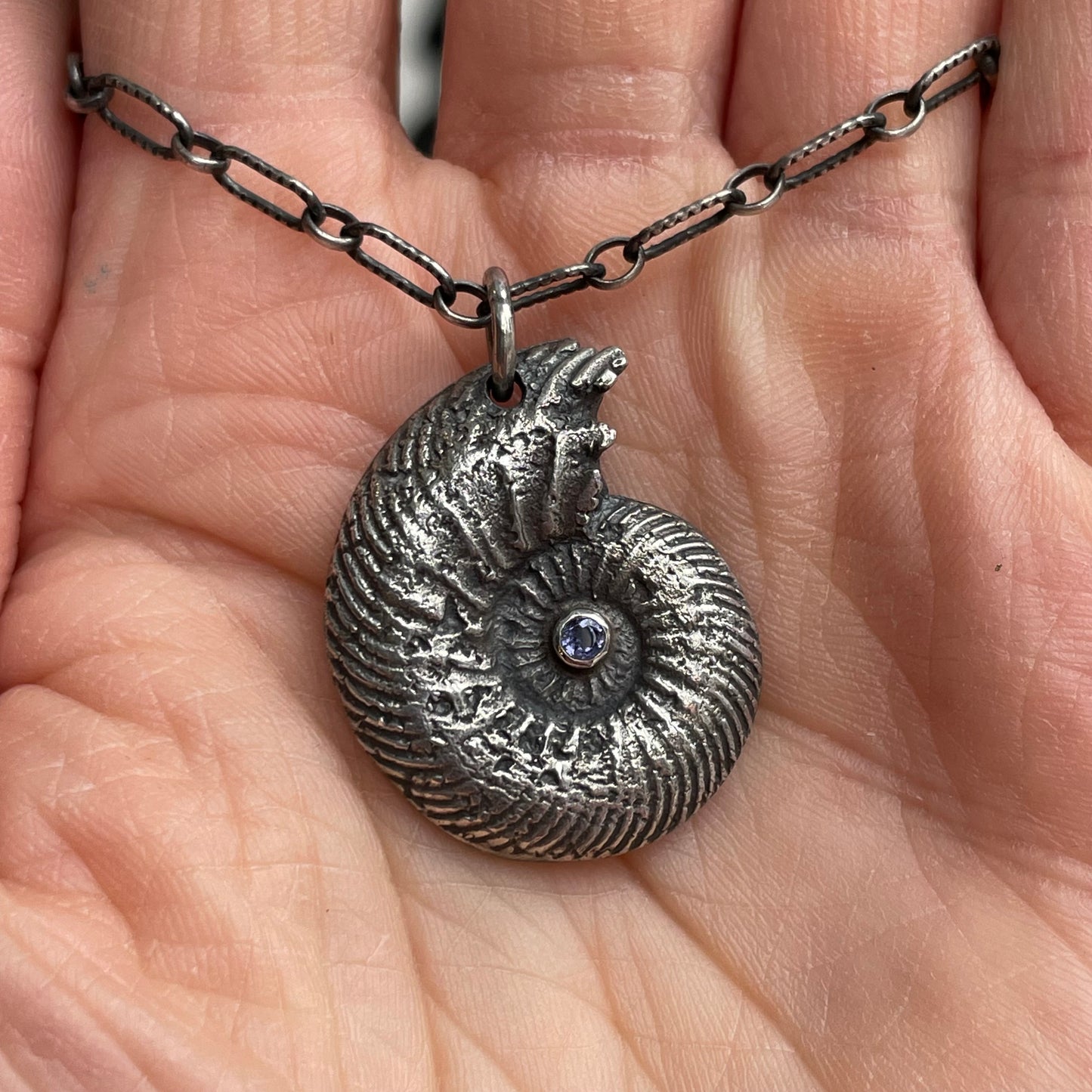 Sterling Ammonite with Iolite