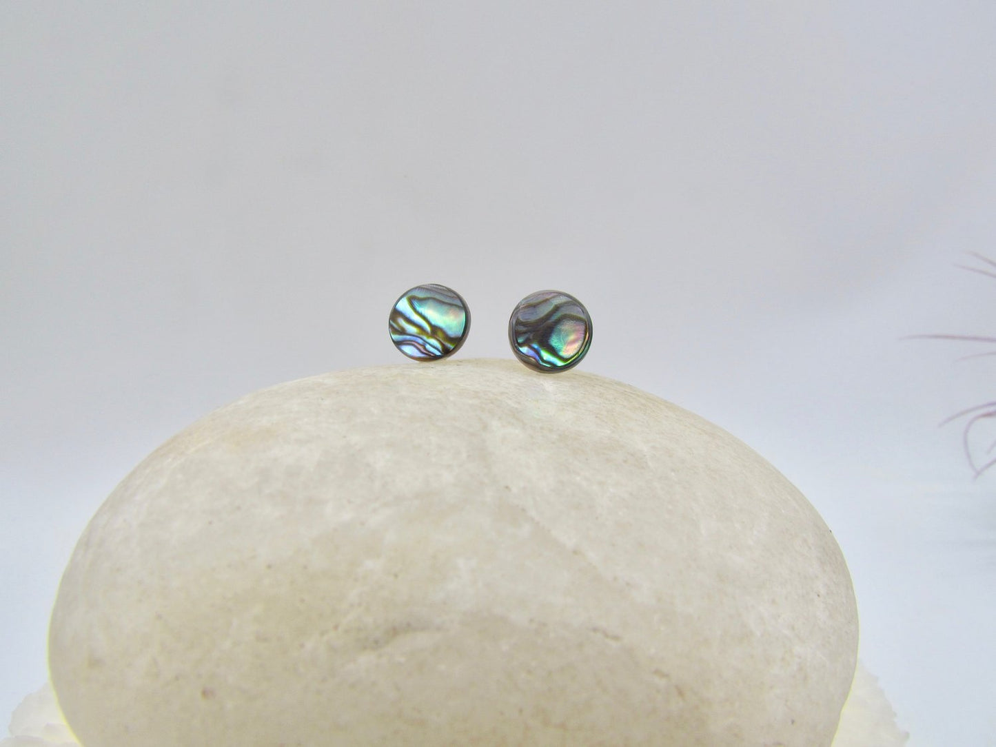 Small Paua Circle Studs