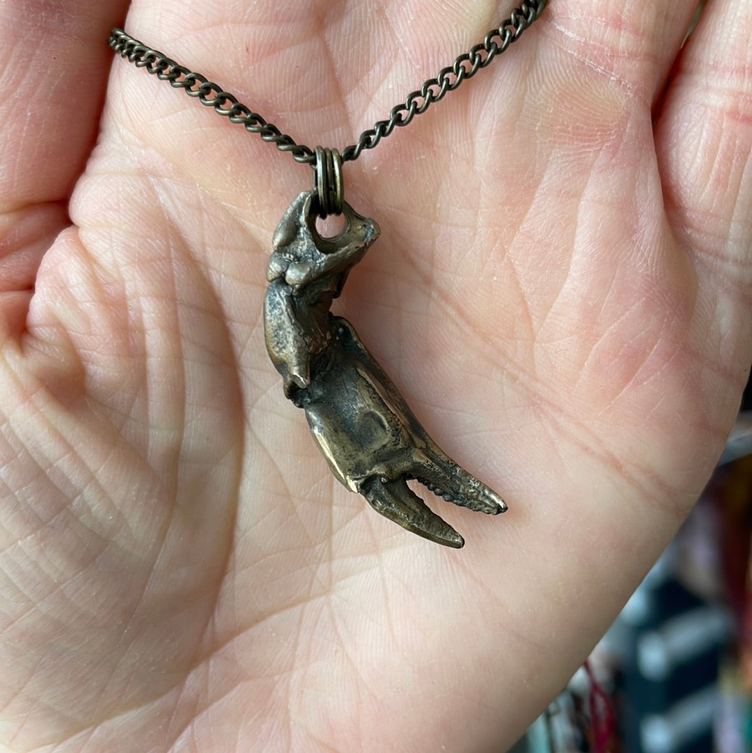 Bronze Cast Crab Claw Pendant