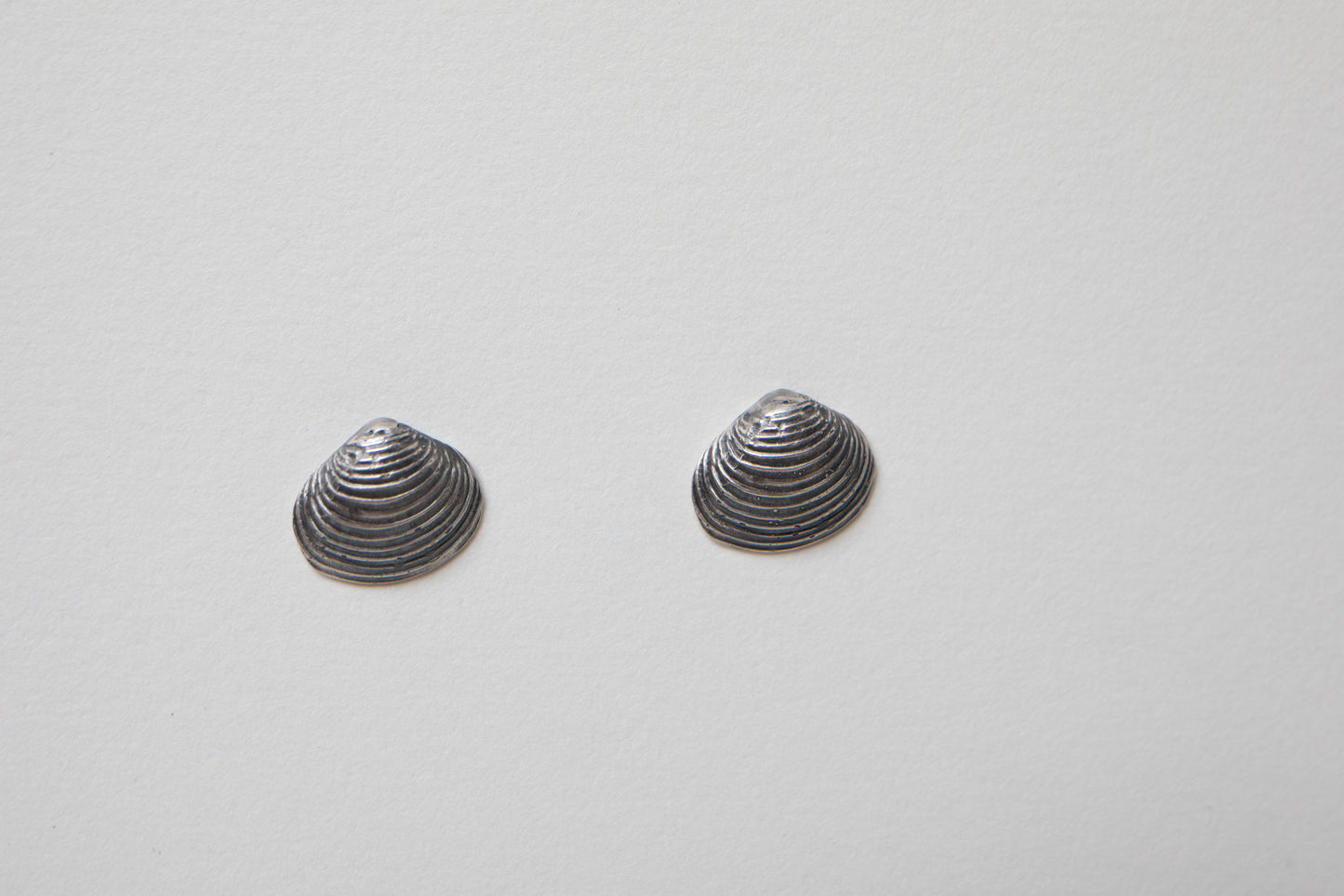 Sterling Bivalve shell Stud Earrings